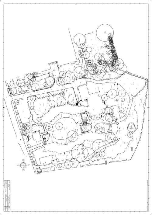 Topographical Survey Plan